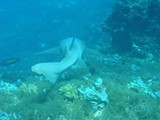 Pousada em Fernando de Noronha